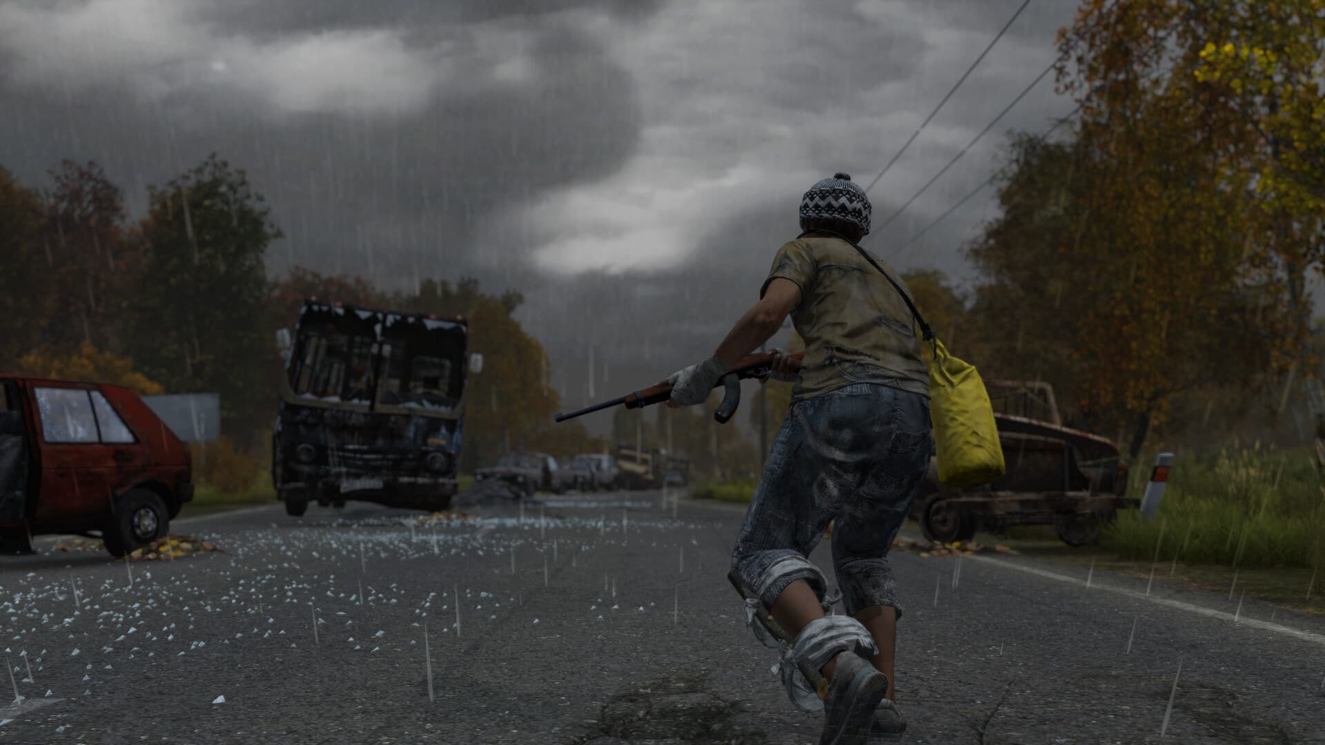 DayZ 独立版 官方游戏截图 1